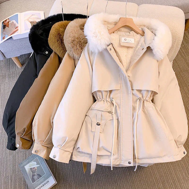 LP | Giacca generica casual e alla moda