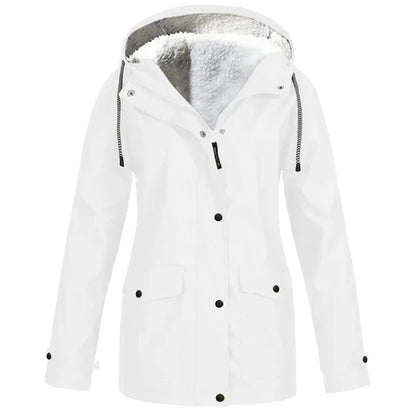 LP | WARM FLY MACKINTOSH